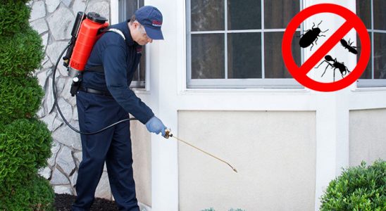 Sivaslı Böcek İlaçlama böcek ilaçlama ve haşere kontrolü — ilaclama-tr.com